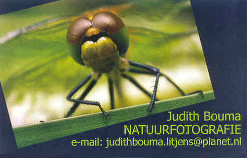 Logo Judith Bouma